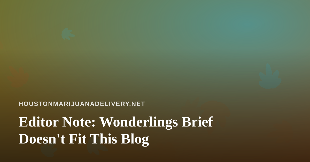 Editor Note: Wonderlings Brief Doesn’t Fit This Blog